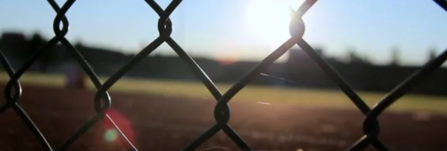 comprehensive-guide-to-wire-mesh-solutions-security-durability-and-customization