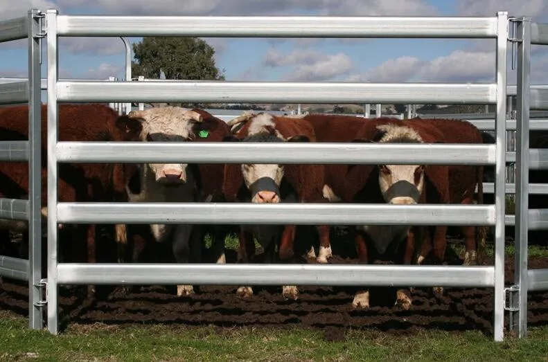 cattle fence panels 16 ft