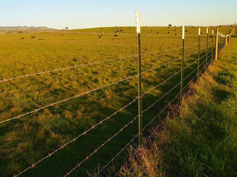 galvanized mesh fence