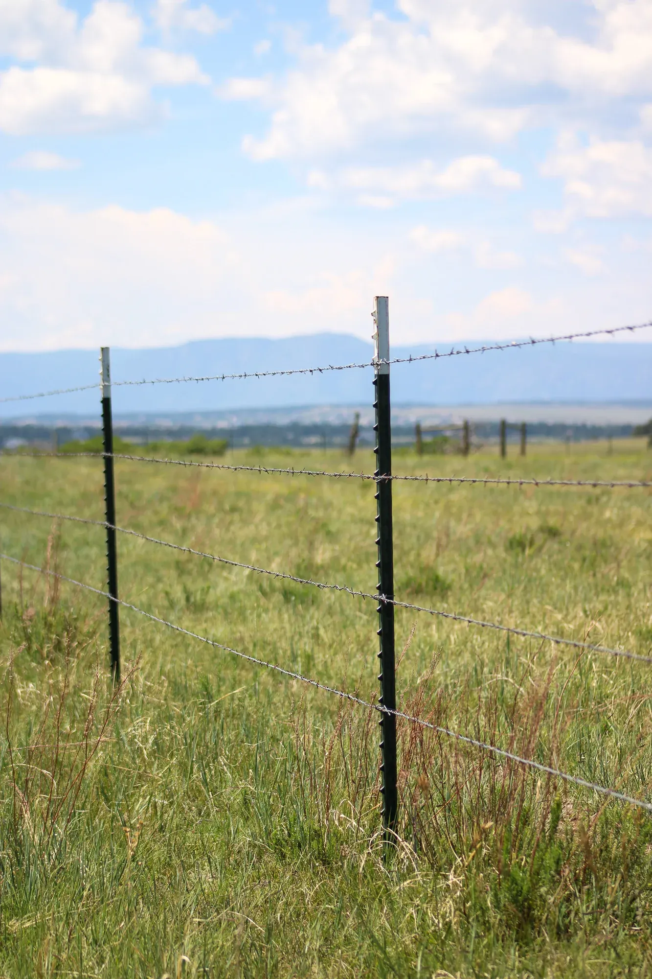 retaining baskets