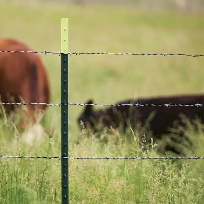 feedlot fencing supplies
