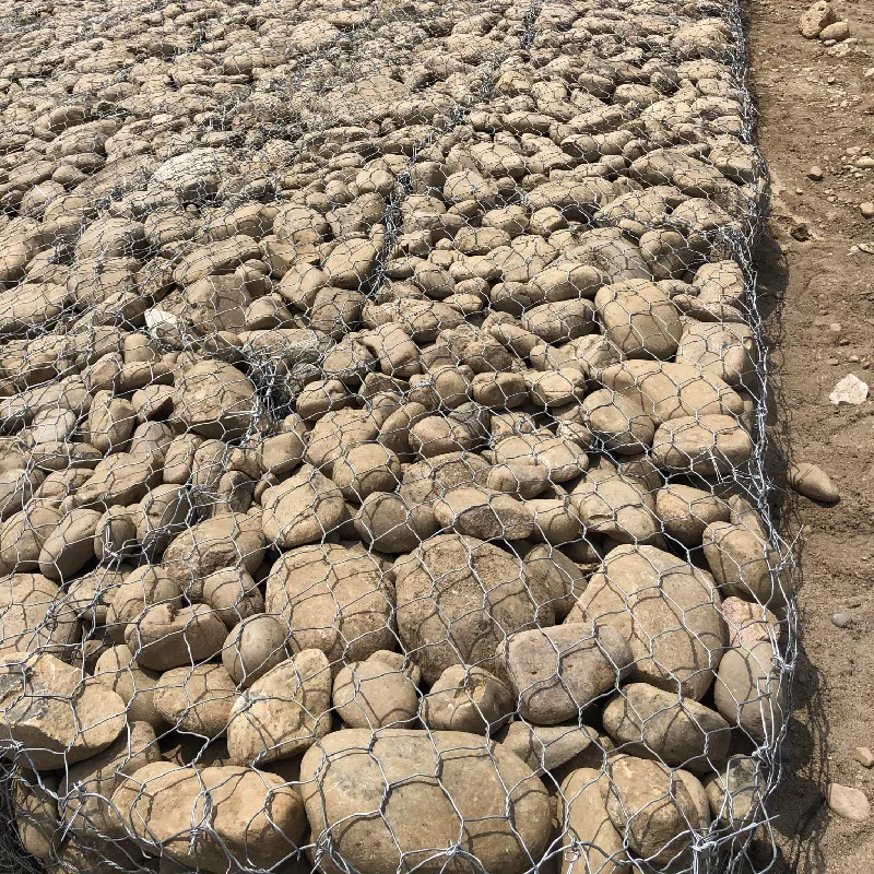 1 2 x 1 2 inch wire mesh